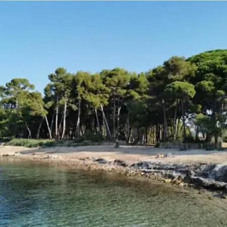 Au Petit Paradis ! Lägenhet Saint-Mandrier-sur-Mer