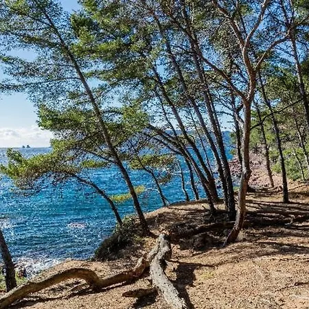 Au Petit Paradis ! 생 망드리에 쉬르 메르